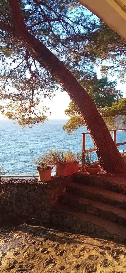 Appartamento Cinqueterre National Park Sea View Framura Esterno foto