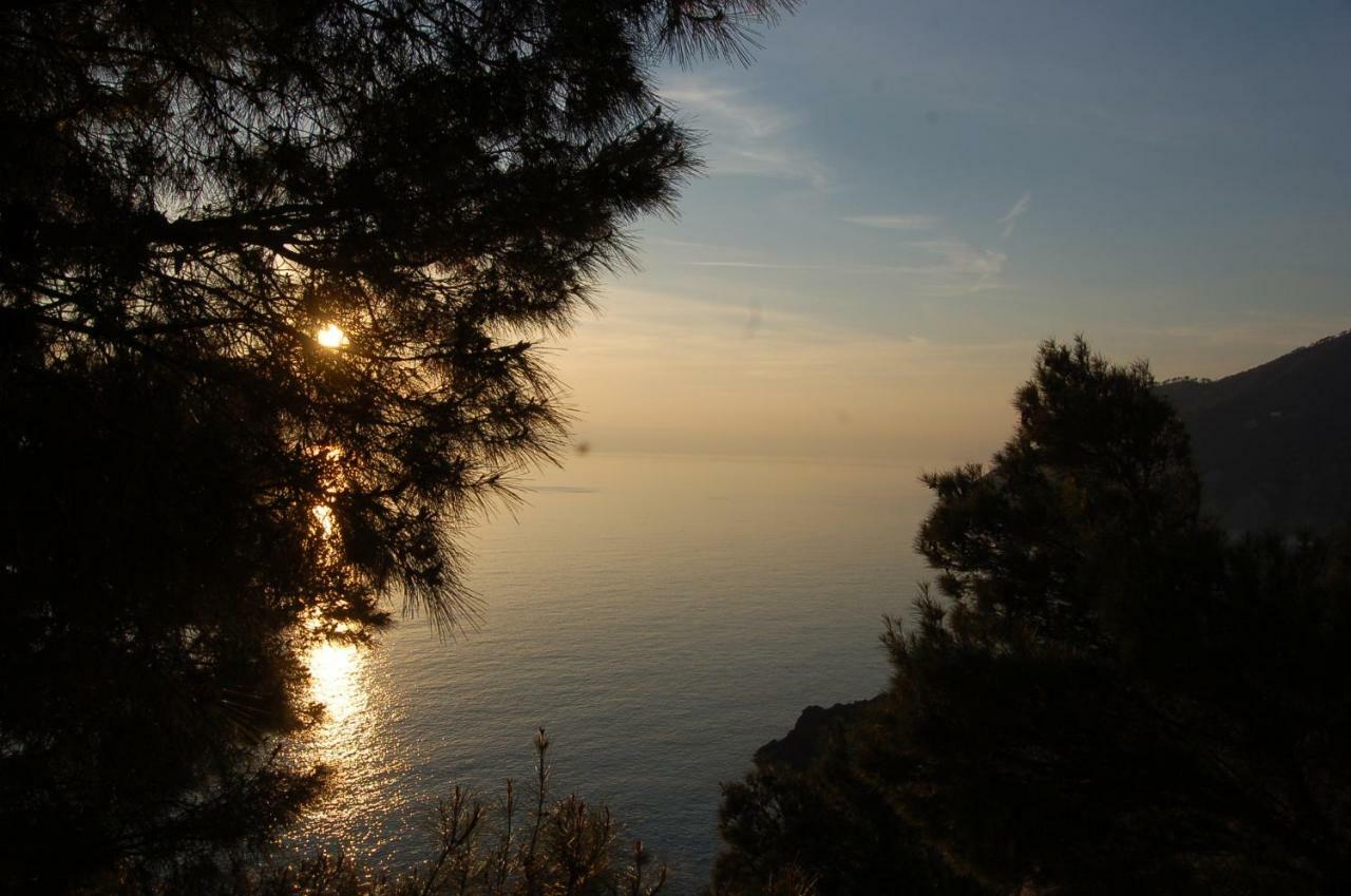 Appartamento Cinqueterre National Park Sea View Framura Esterno foto